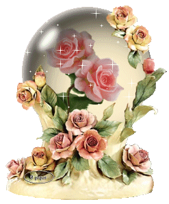 globe roses